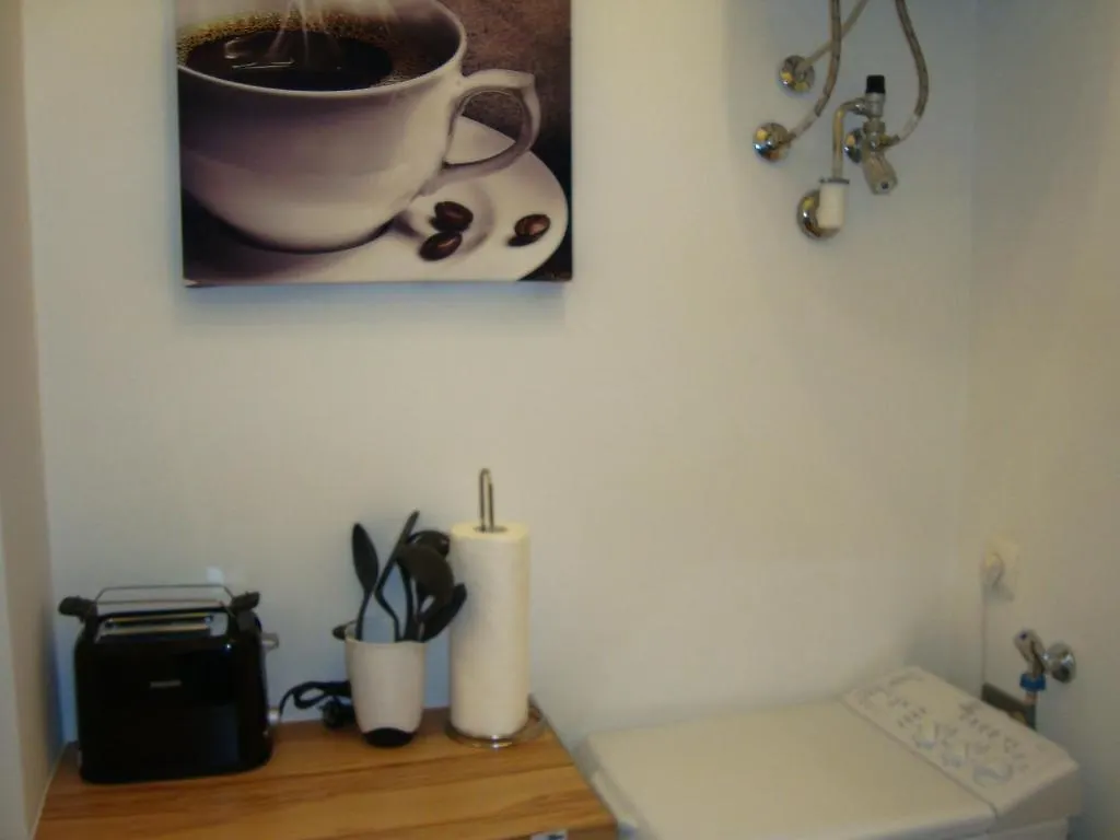 Apartment Enenkelstrasse Wien