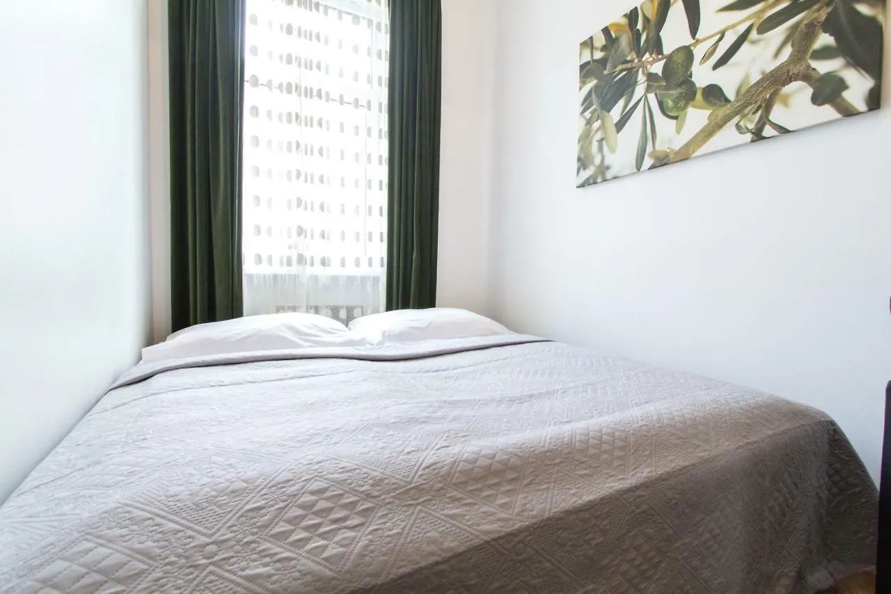Apartment Enenkelstrasse Viena